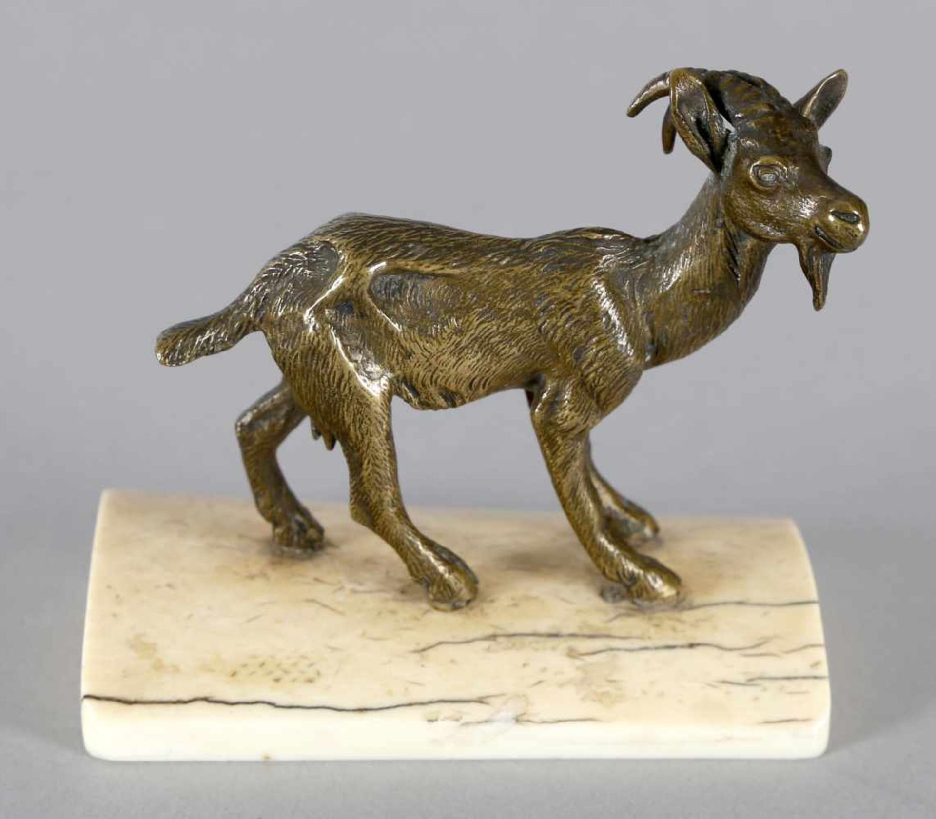 Stehende Ziege, Bronze, um 1880-1900