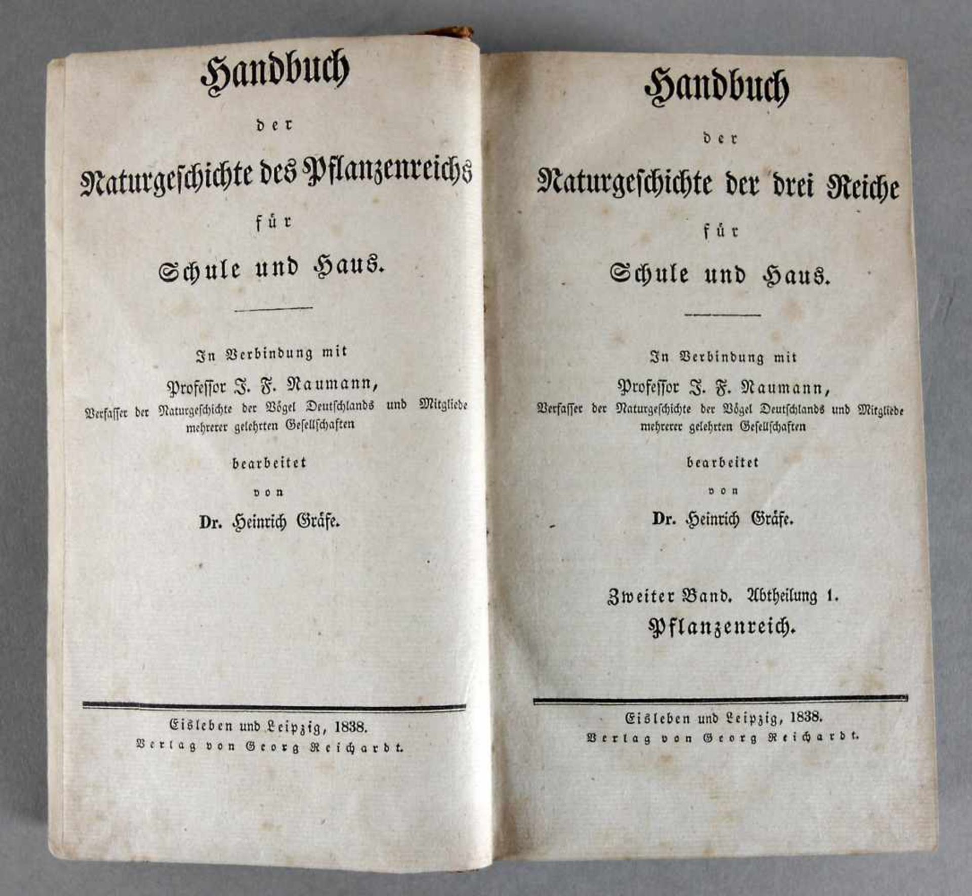 "Handbuch der Naturgeschichte der drei Reiche für Schule und Haus" von Heinrich Gräfe, 2. Band,