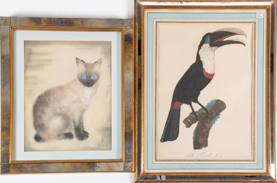 Shunko Deshima (20th century) Japanese depicting a Siamese cat, signed lower right, mixed media on