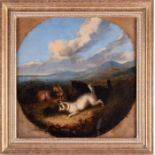 Attributed to George Armfield (1810-1893) English depicting three terriers ratting, unsigned, oil on