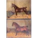 American school, 20th century a pair of oil paintings depicting portraits of a thoroughbred in their