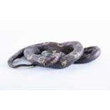 A large 20th century fine quality cold painted bronze snakein a coiled up pose, realistically