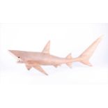 A carved wooden study of a shark 20th century, fitted with original shark teeth.76 cm x 27 cm.