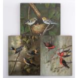 English School, 20th centurya group of three paintings depicting different groups of birds,
