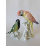 A vintage Karl Ens model of a Budgerigar, early - mid 20th century, predominantly in pink and