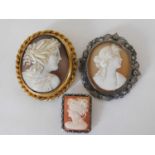 Two 19th century carved shell cameo brooches, one a mourning brooch with vacant panel verso in