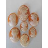 Seven carved shell cameos, all depicting female beauties in profile.2.5cm x 1.8cm - 3.9cm x