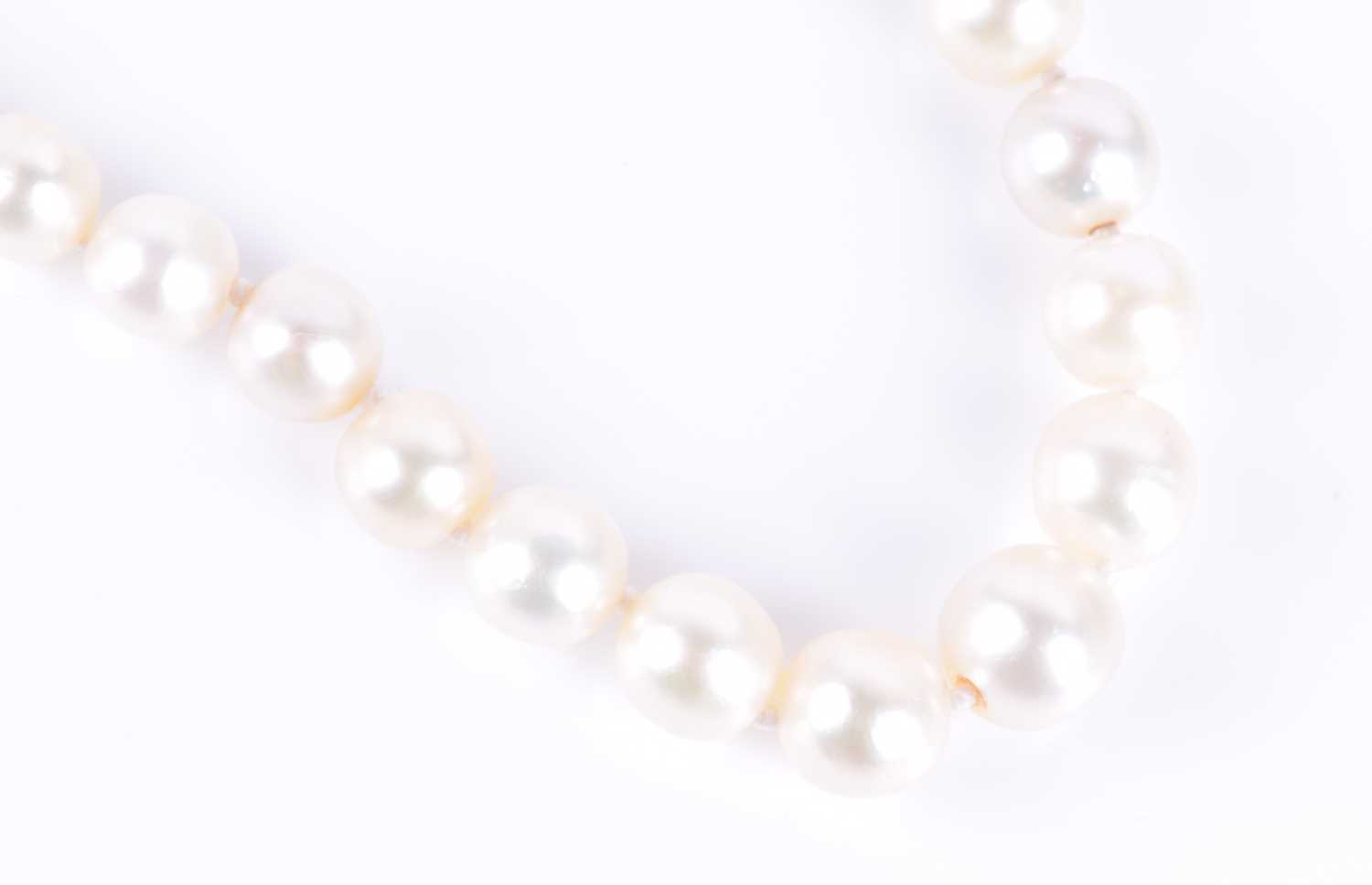 A natural pearl necklaceof graduated pearls, largest approximately 6.5 mm, smallest 2.5 mm, fastened - Image 2 of 4