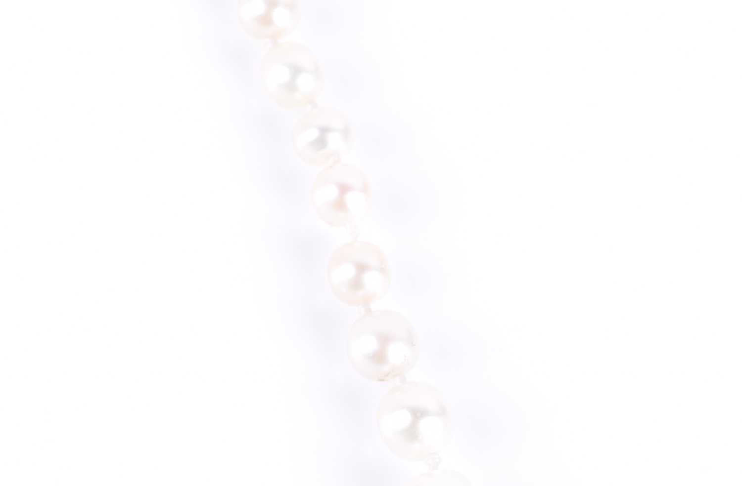 A natural pearl necklaceof graduated pearls, largest approximately 6.5 mm, smallest 2.5 mm, fastened - Image 4 of 4