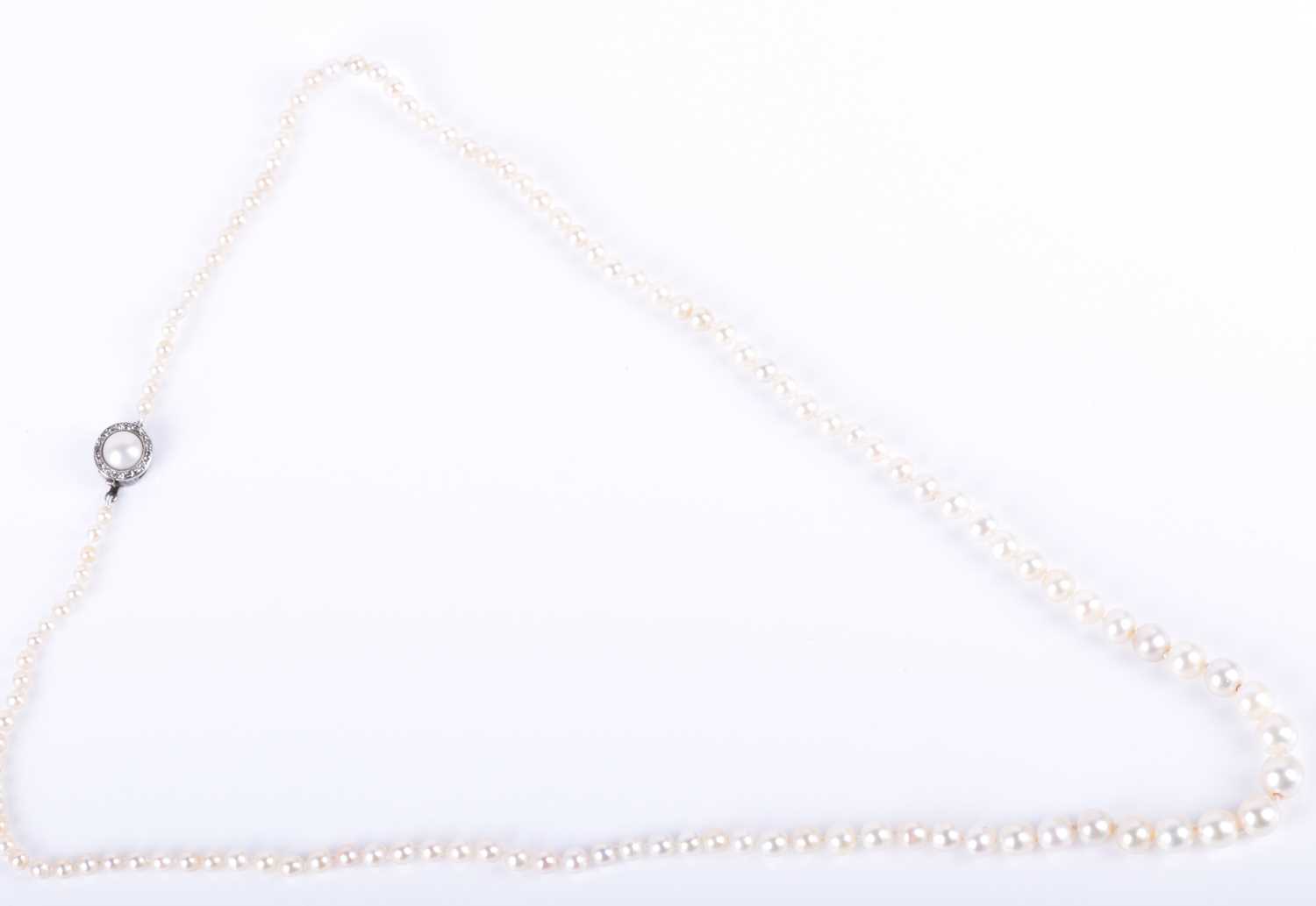 A natural pearl necklaceof graduated pearls, largest approximately 6.5 mm, smallest 2.5 mm, fastened