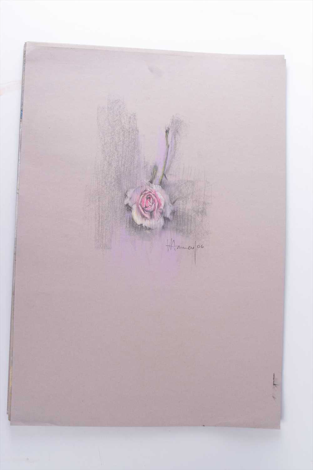 Val Hamer (20th-21st century) Britisha collection of still life and floral studies, pastel on paper, - Image 5 of 20