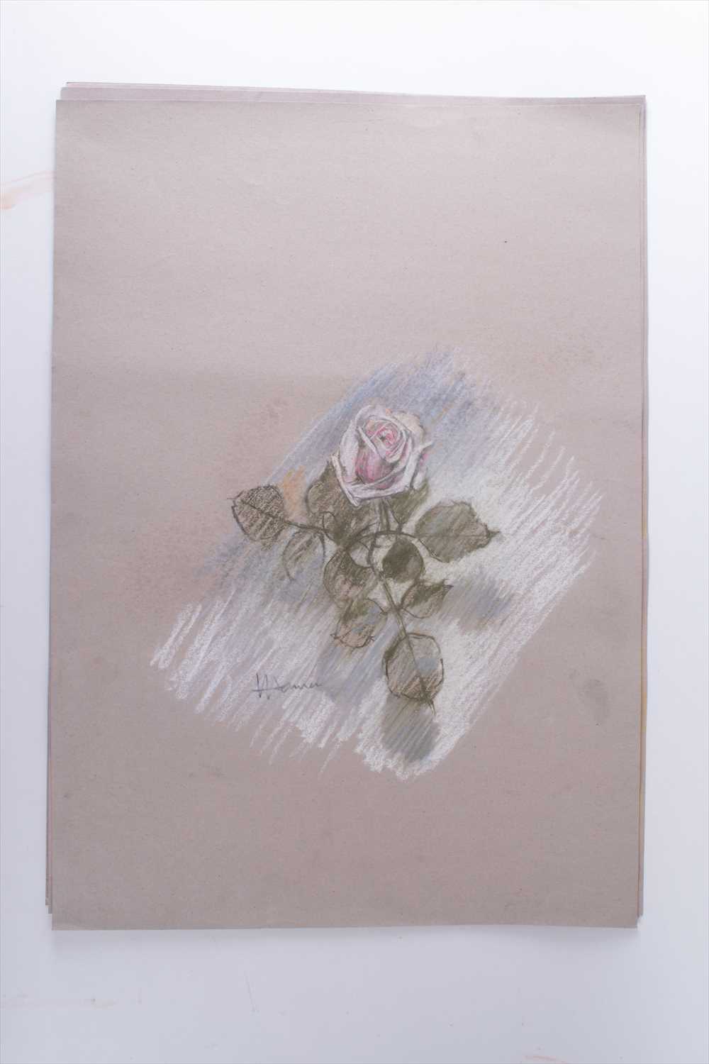 Val Hamer (20th-21st century) Britisha collection of still life and floral studies, pastel on paper, - Image 16 of 20