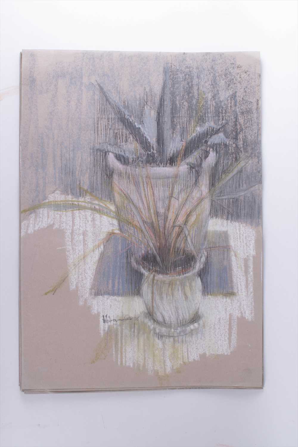 Val Hamer (20th-21st century) Britisha collection of still life and floral studies, pastel on paper, - Image 8 of 20