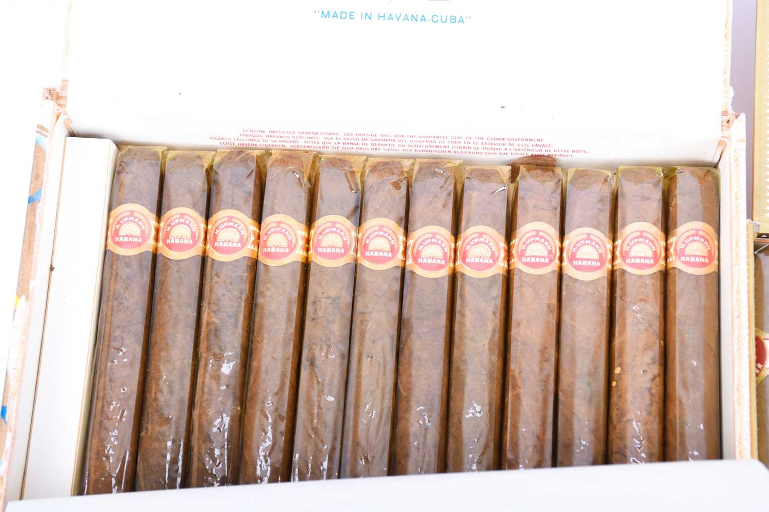 A collection of assorted cigars, including an unopened box of Quintero y Hno Cienfuegos cigars, - Image 3 of 20