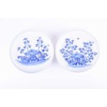 A pair of Chinese blue and white plates, 19th century, decorated with bamboo, peony and