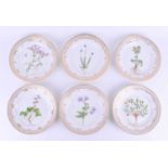 A set of six 1970s Royal Copenhagen Flora Danica lunch plates, each decorated with different hand