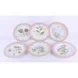 A set of six 1970s Royal Copenhagen Flora Danica dinner plates, each decorated with different hand
