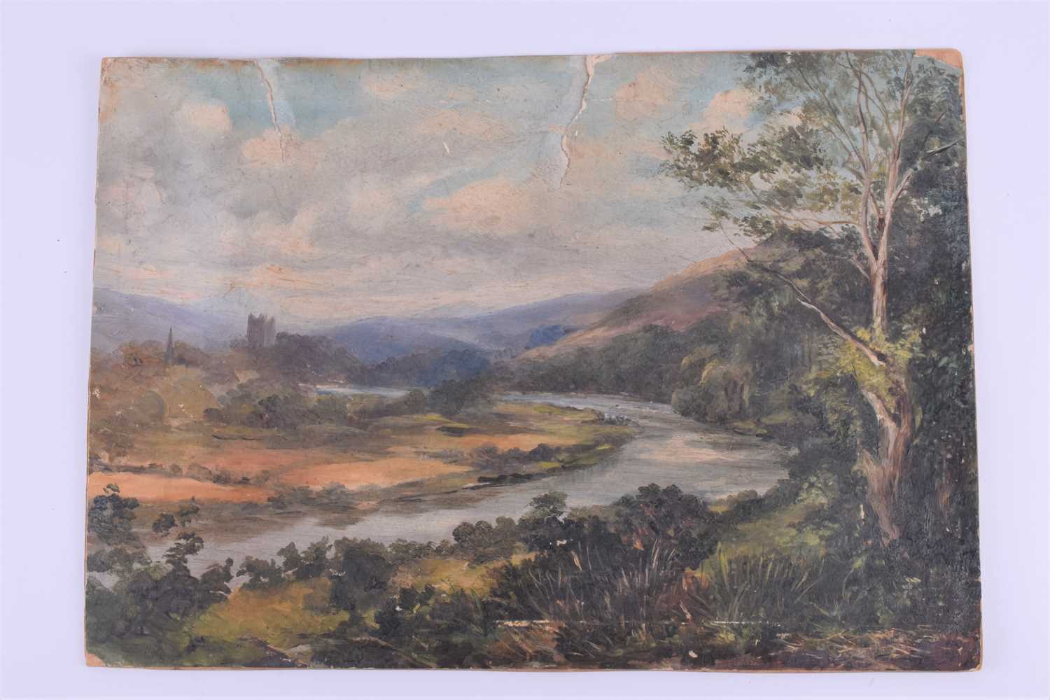 Two 19th century oil paintings depicting Irish castles 'Ruig Rowe' & 'Carrignacurra', unsigned, - Image 3 of 11