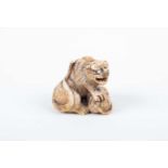 A Japanese carved ivory netsuke, 19th century, in the style of Hakuryu, well carved as a tiger