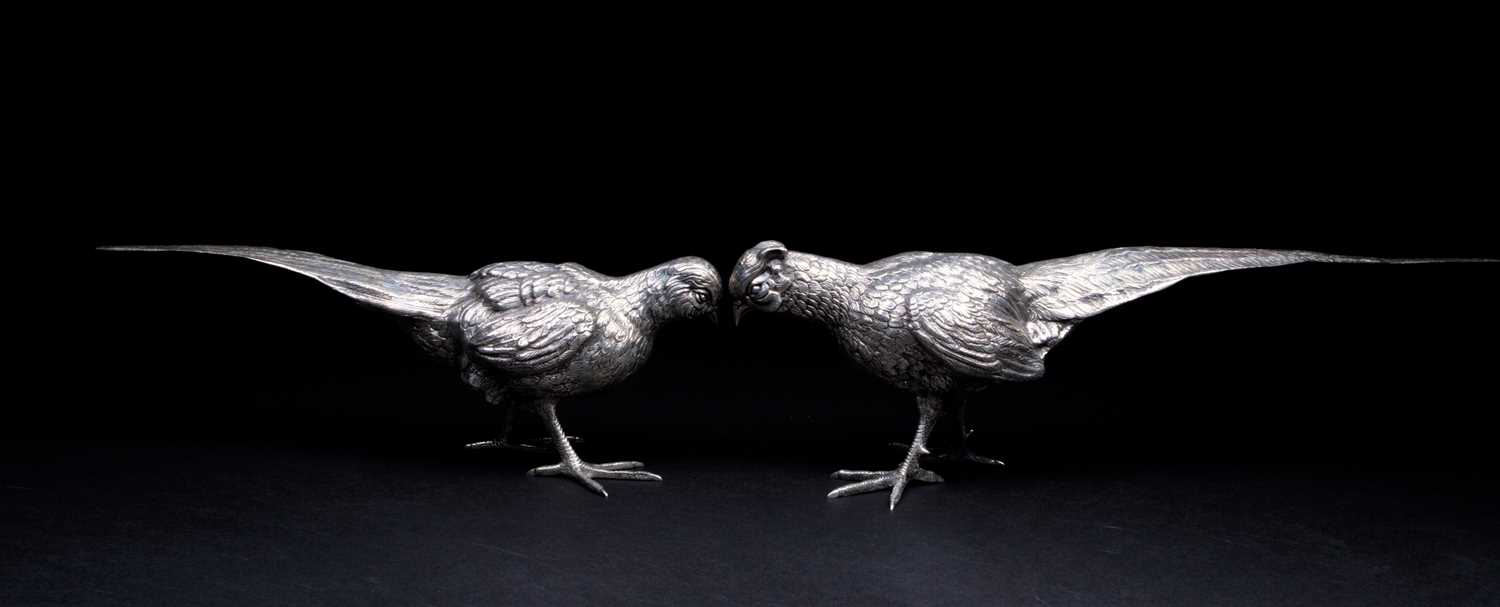 Two large Spanish silver pheasants, circa 1960's, each naturalistically modelled, struck to the tail