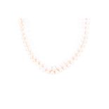 An opera length strand necklace of cultured pearls, creamish-white with pale greenish/pinkish sheen,