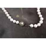 A South Sea white pearl necklace, the pearls approximately 9-11mm, fastened with a silver clasp,