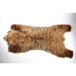 Taxidermy: a large brown bear skin floor rug, 206 cm x 96 cm.
