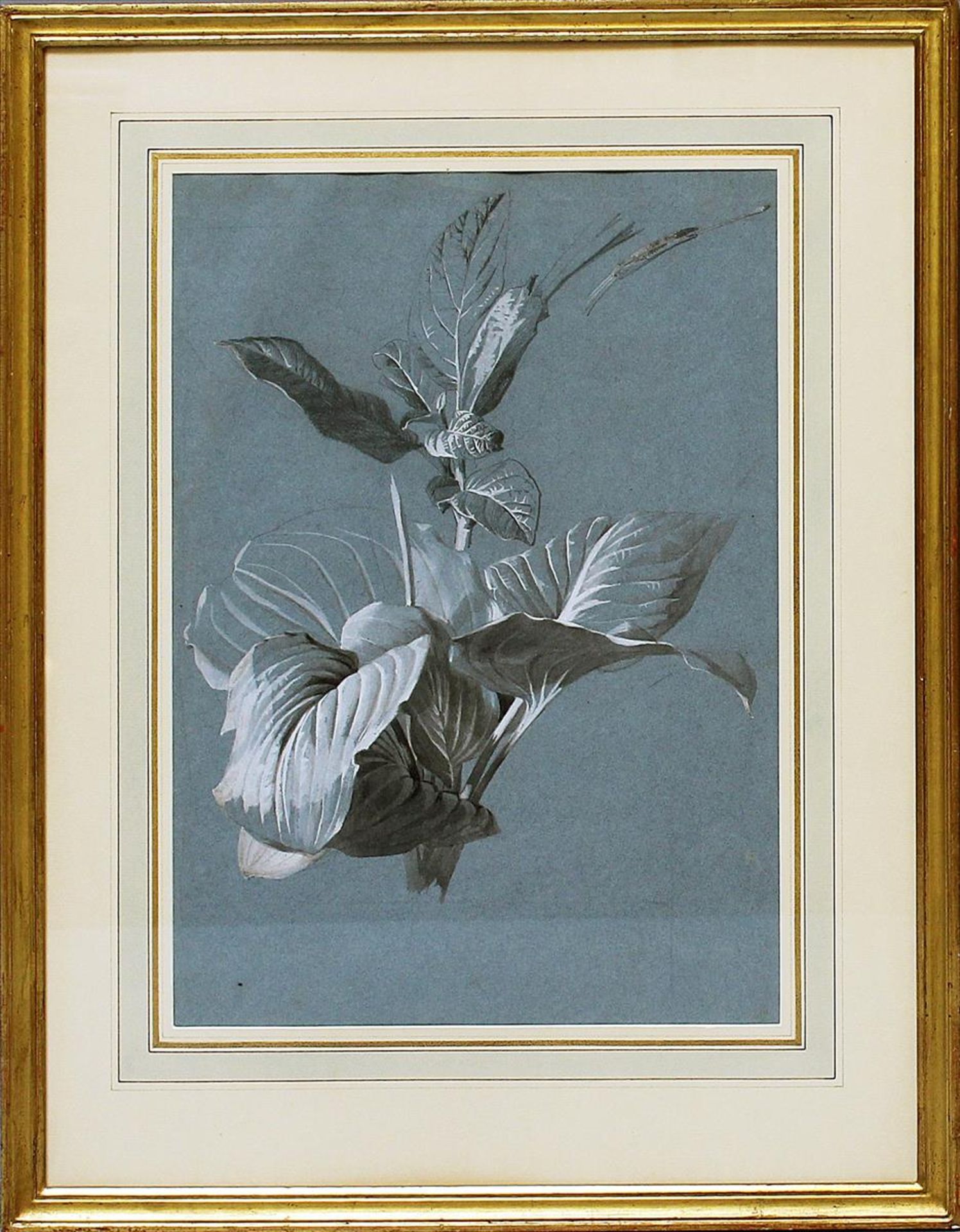 Labbé, Emil-Charles (1820 Mussy-sur-Seine- Algier 1885)Pflanzenstudie. Pinsel und Bleistift in