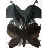 Amorales, Carlos (geb. 1970 in Mexico City)"Mariposas negras" (Schwarze Schmetterlinge).