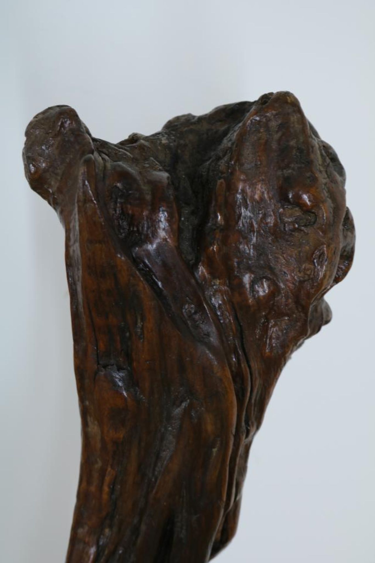 Vruchtenhouten wortel in aardewerk vaas, zgn. Rootwood sculpture, h. 85 cm. - Bild 2 aus 3