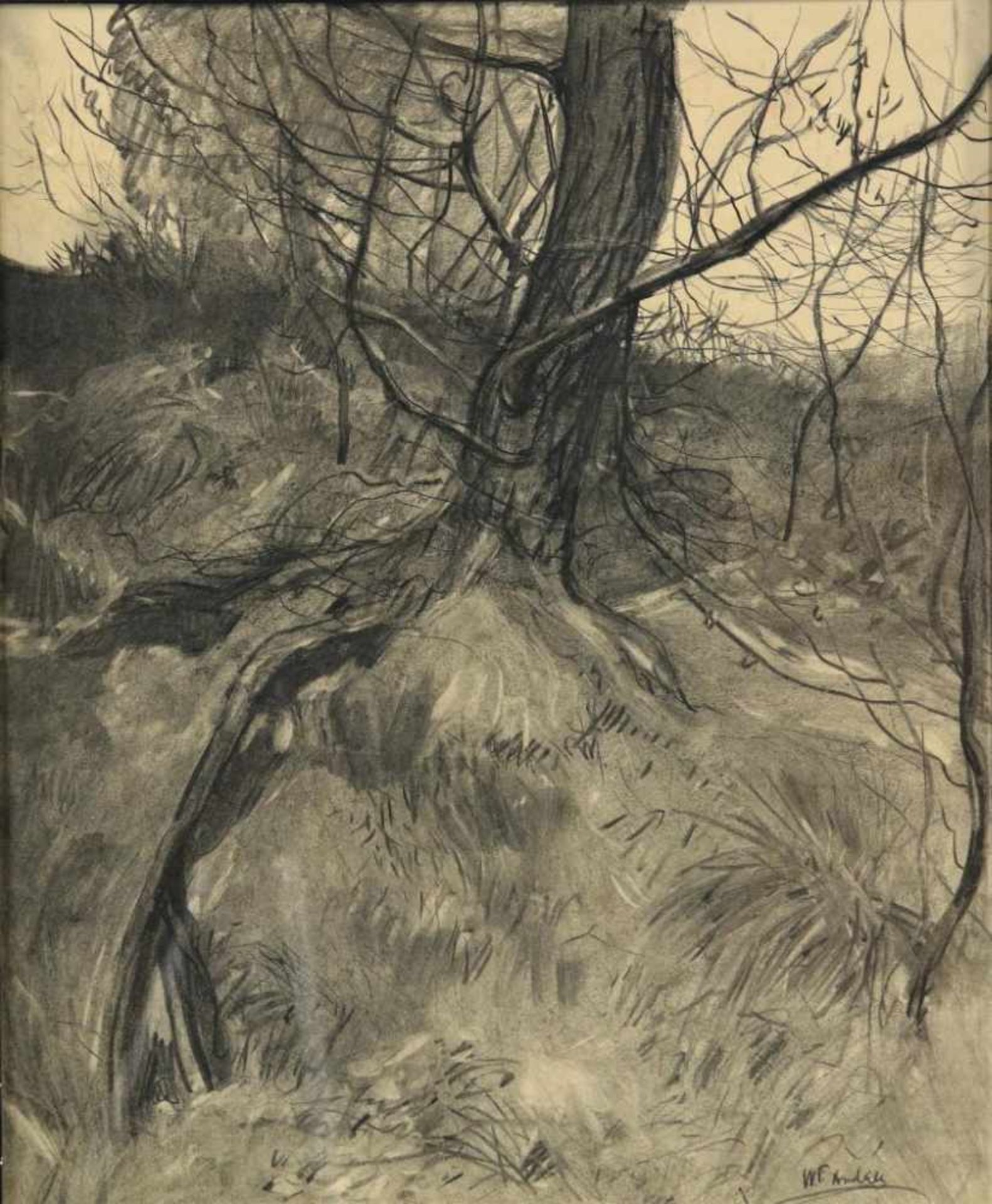 ANDREA, WILLEM FREDERIK (1875-1952), ges. r.o., 'Blaricumseheide', zwartkrijttekening 48 x 39 cm.