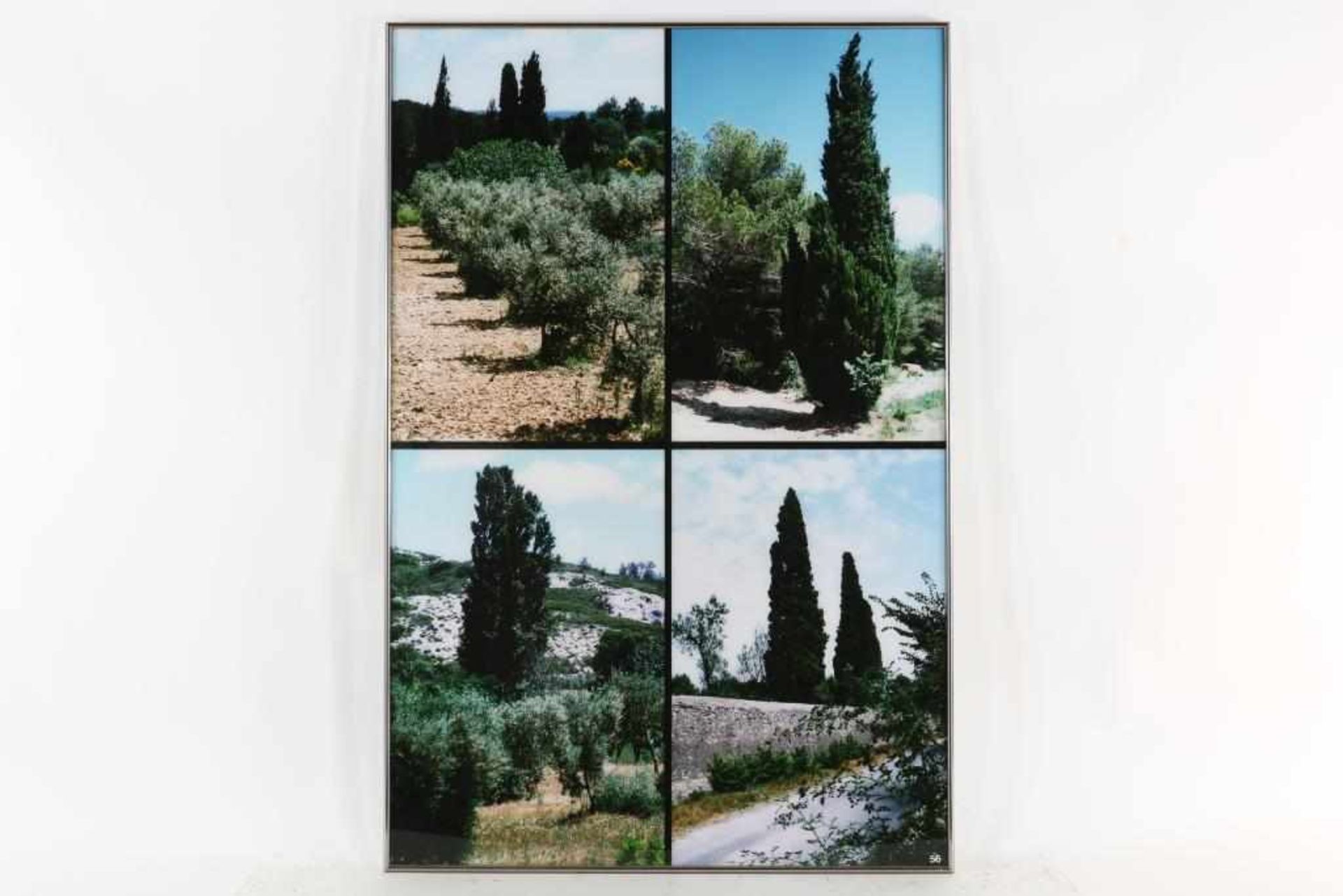 Huf, Paul (1924-2002), Blossom, olive trees and cypresses, 2 compilations of photographs 120 x 80 - Bild 3 aus 4