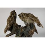 a pair of 2 taxidermy European Eagle Owls on wooden stump. (with lead on legs)Stel opgezette
