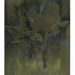 Rahusen, Ina, not signed, banana tree, drawing in pastel 56 x 47 cm.RAHUSEN, INA (1895-1977), zonder