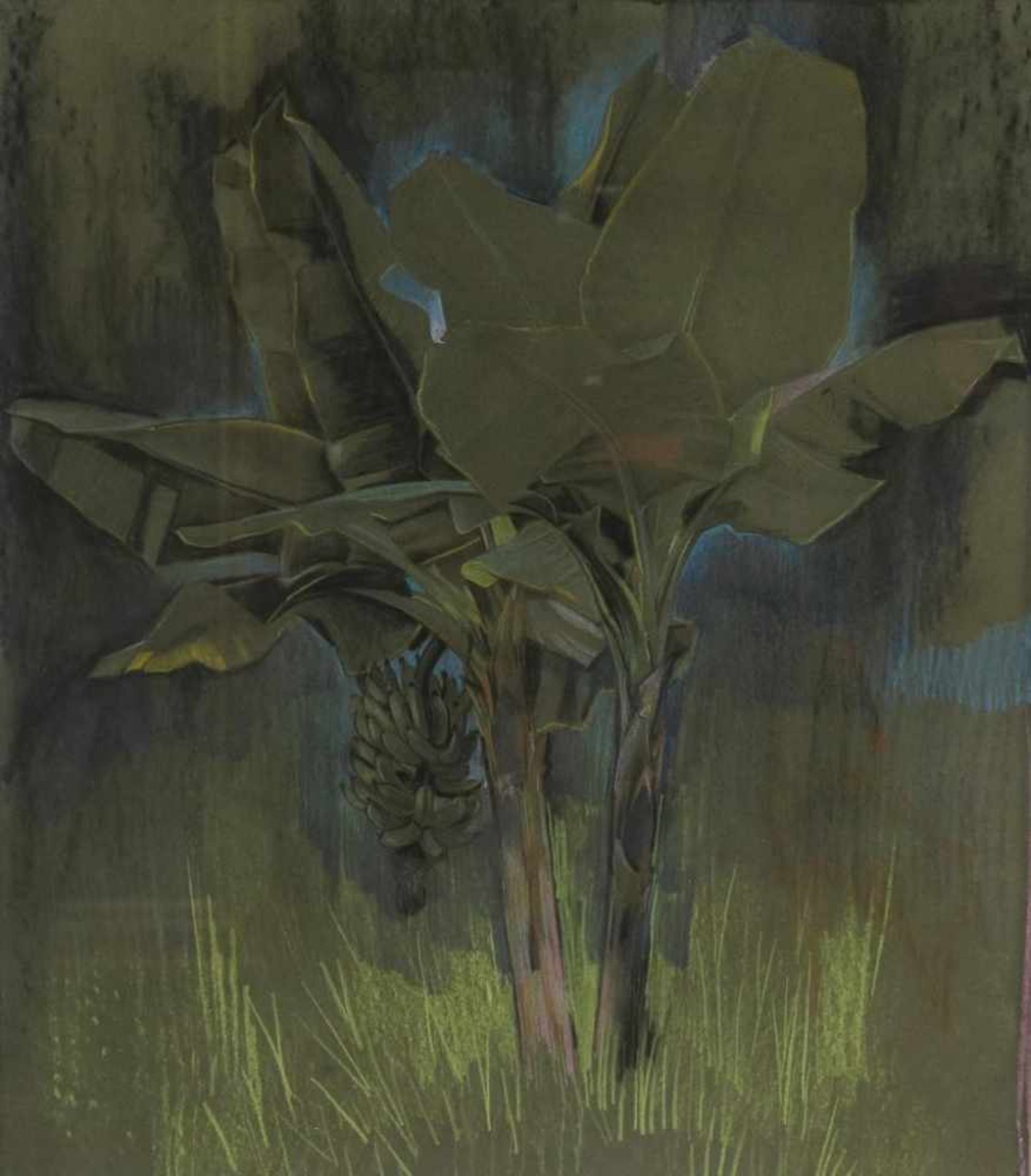 Rahusen, Ina, not signed, banana tree, drawing in pastel 56 x 47 cm.RAHUSEN, INA (1895-1977), zonder