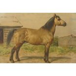 EERELMAN OTTO (1839-1926), signed in edition r.o., portrait of horse, lithograph 45 x 58 cm.