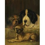 Meulen, Edmond van der (1841-1905), signed, three dogs, canvas 71 x 56 cm.MEULEN, EDMOND VAN DER (