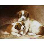 Onbekend, met sign. r.o., twee sint bernard pups, board 23 x 30 cm.