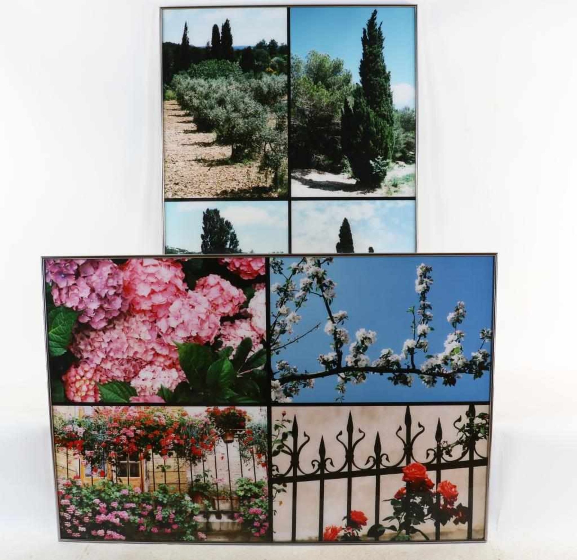 Huf, Paul (1924-2002), Blossom, olive trees and cypresses, 2 compilations of photographs 120 x 80