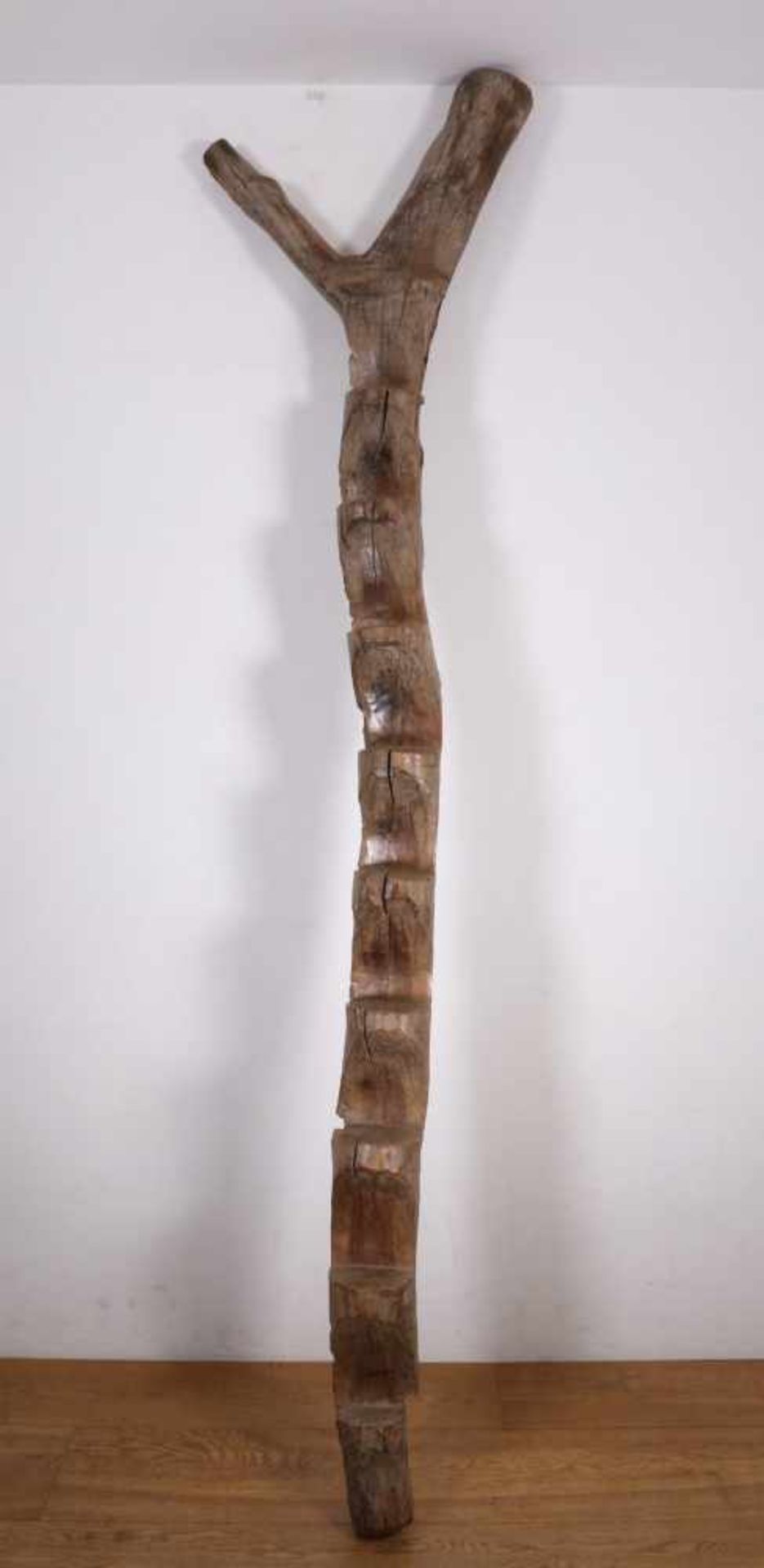 Mali, Dogon, carved wooden granery ladder, h. [1]400
