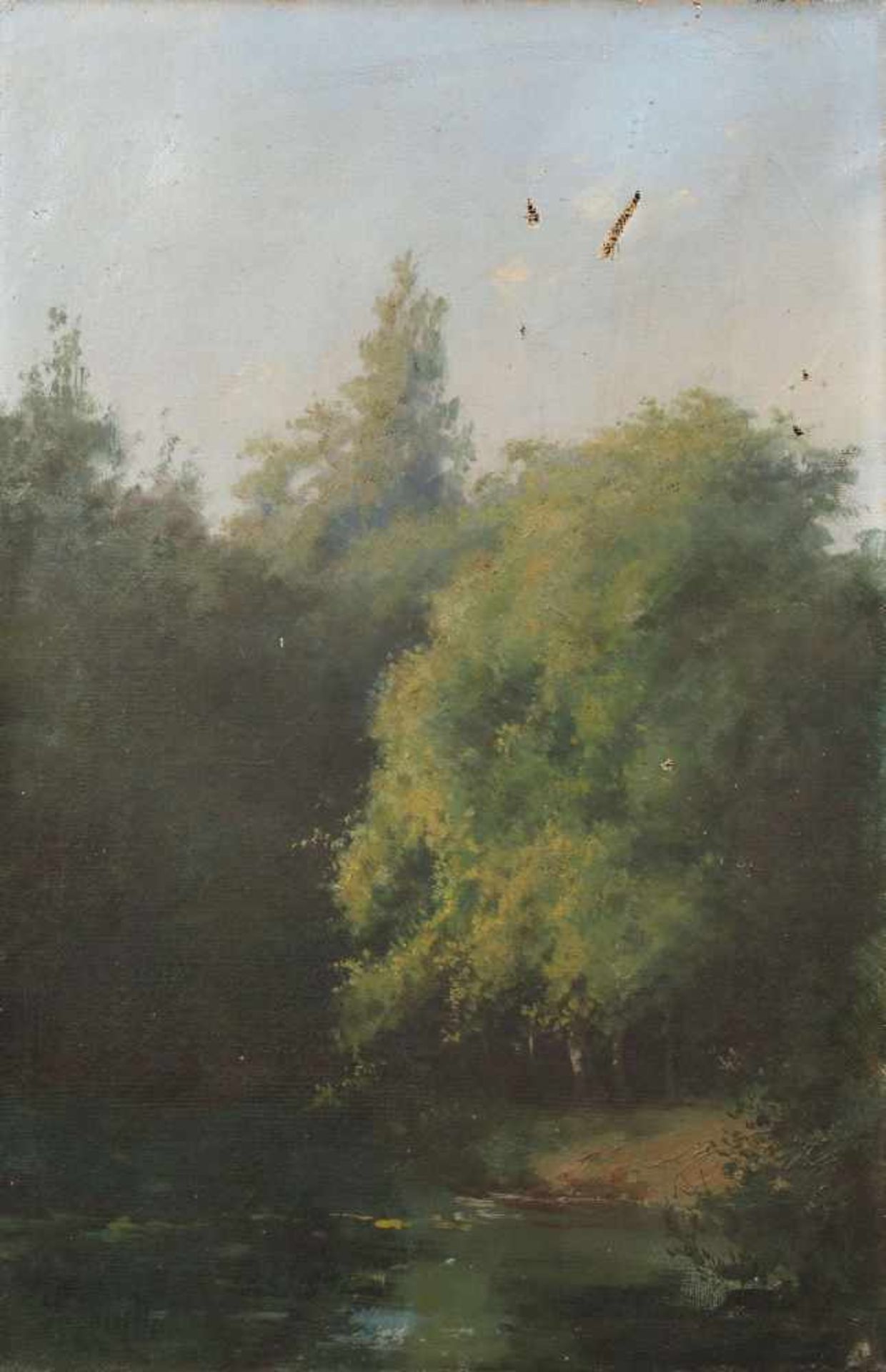 Salvador Murillo (1841-?)Bomen aan een water, Mexico, doek, niet ingelijst, beschadigd, gesign. l.