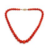 Aflopend bloedkoralen collier,