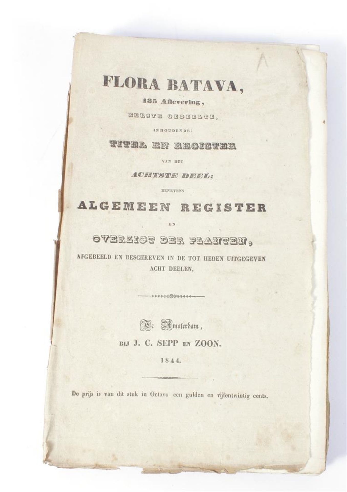 Flora Batava parts 1 to 7, Depicted by and from because of J.C. Sepp en Zoon, described by Jan Kops, - Bild 13 aus 17