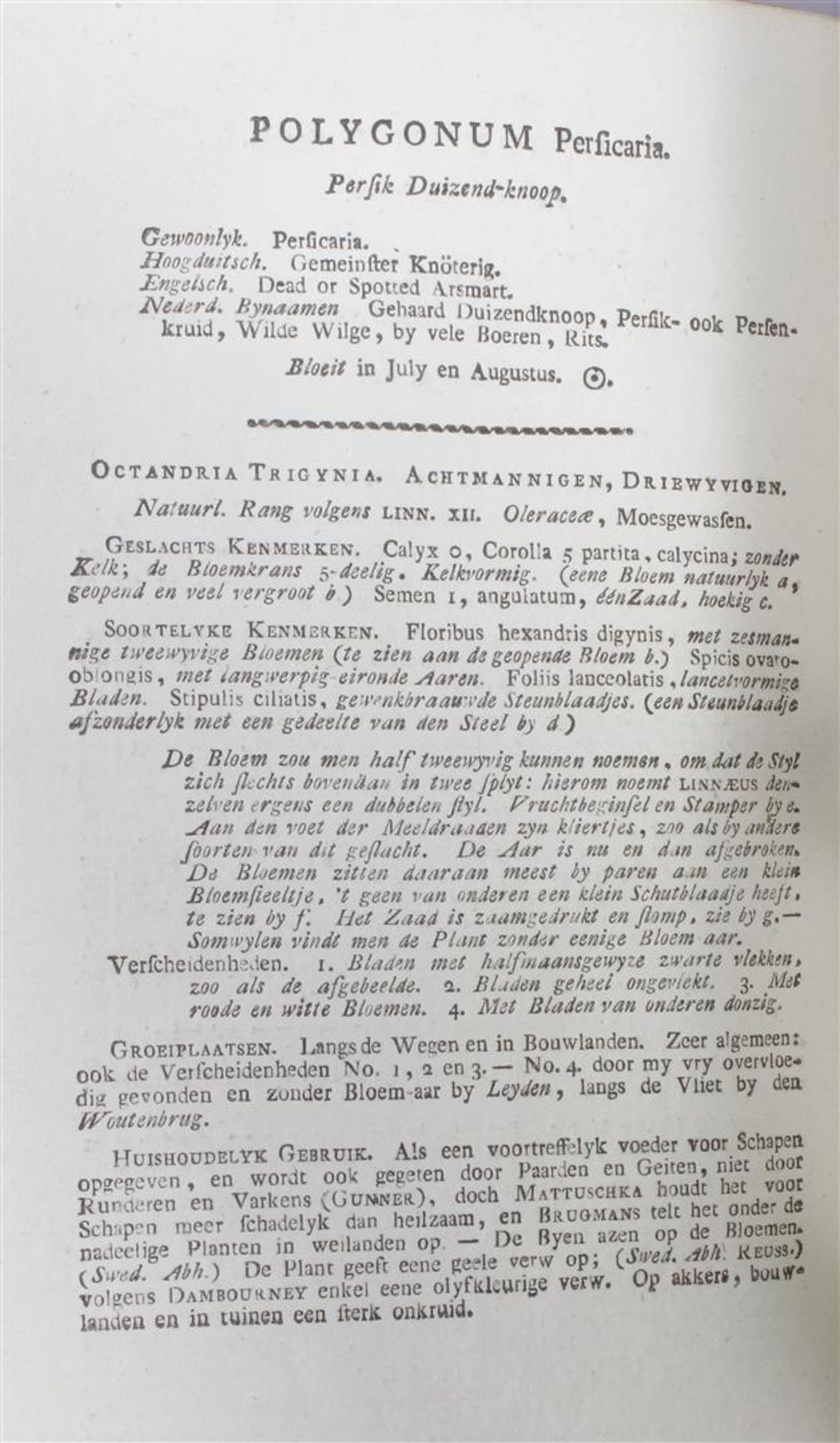 Flora Batava parts 1 to 7, Depicted by and from because of J.C. Sepp en Zoon, described by Jan Kops, - Bild 5 aus 17