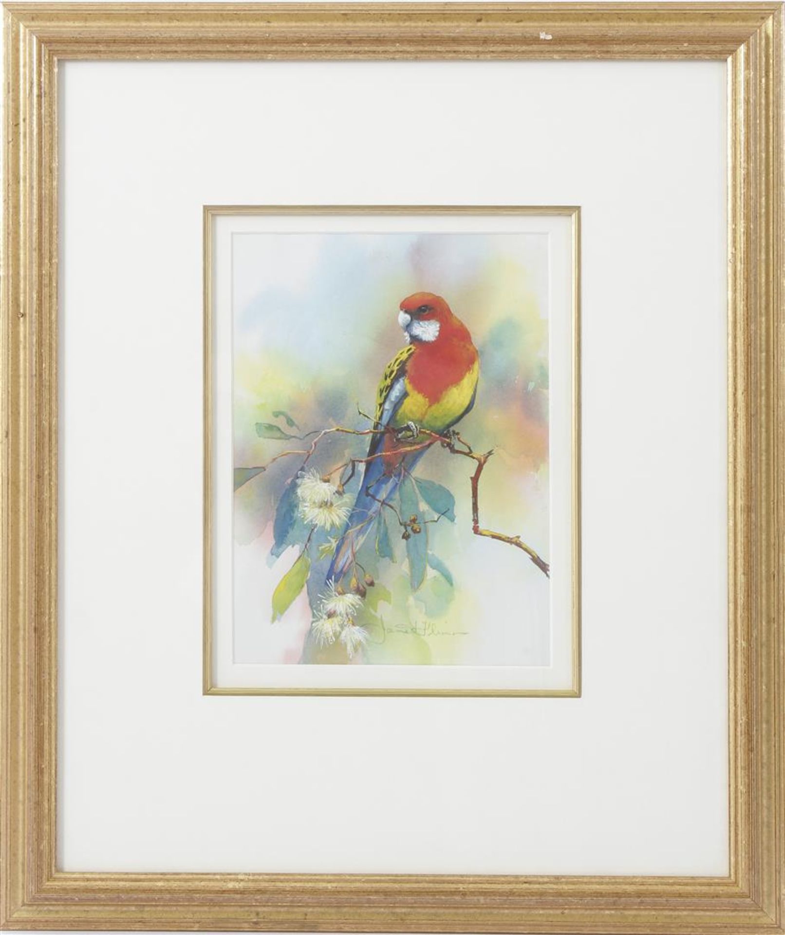 Signed Janet Flinn, Parakeet on branch, watercolor 26x19 cm