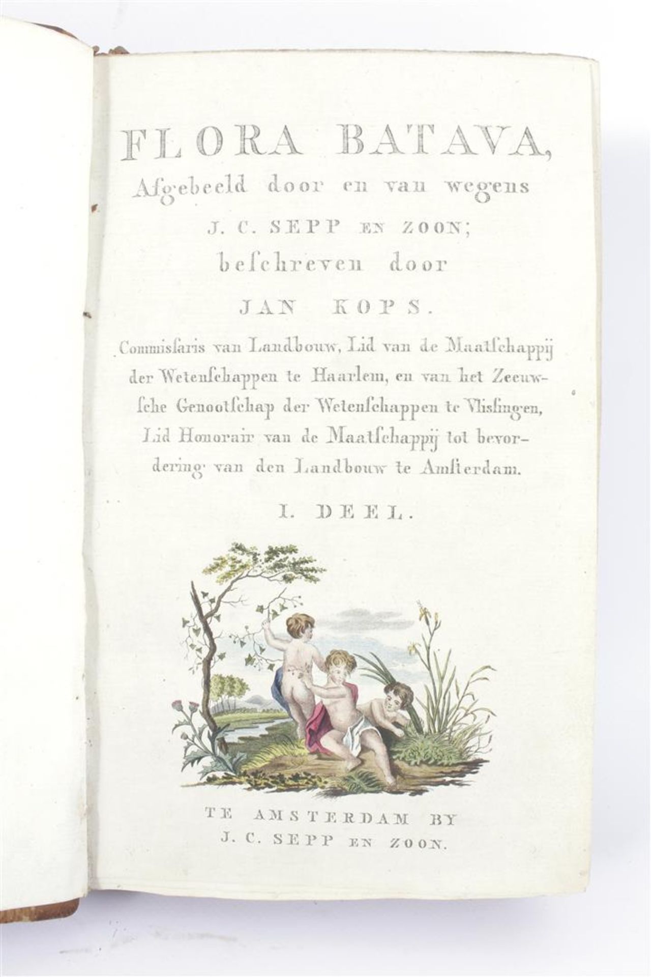 Flora Batava parts 1 to 7, Depicted by and from because of J.C. Sepp en Zoon, described by Jan Kops, - Bild 8 aus 17