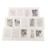 10 various lithographs of posing nude after Henri Matisse, outer size 40x30 cm