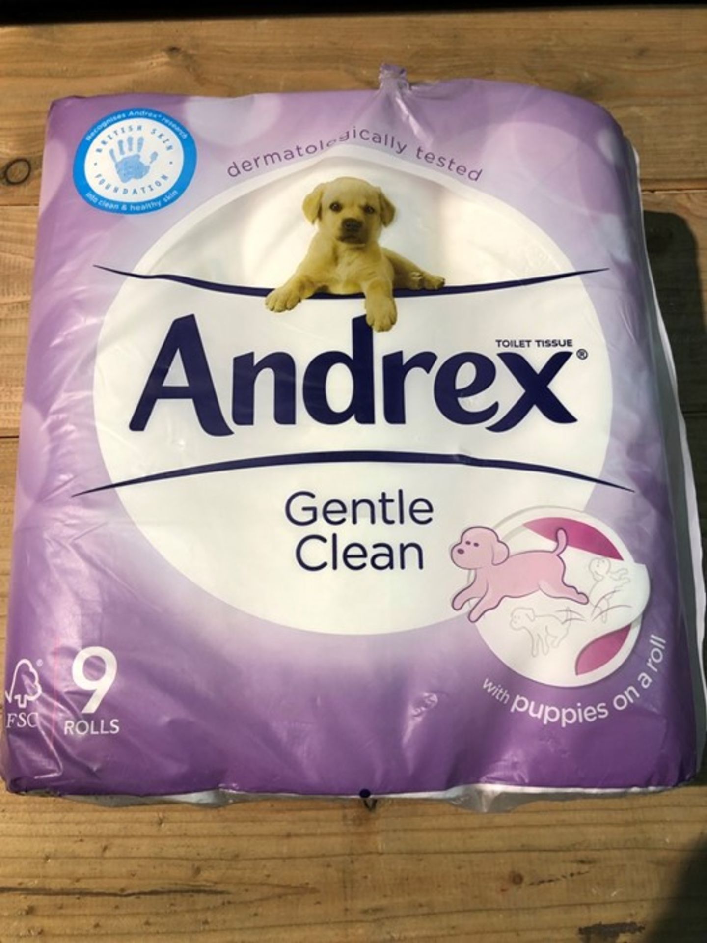 1 PACK OF 9 ROLLS ANDREX GENTLE CLEAN (PUBLIC VIEWING AVAILABLE)