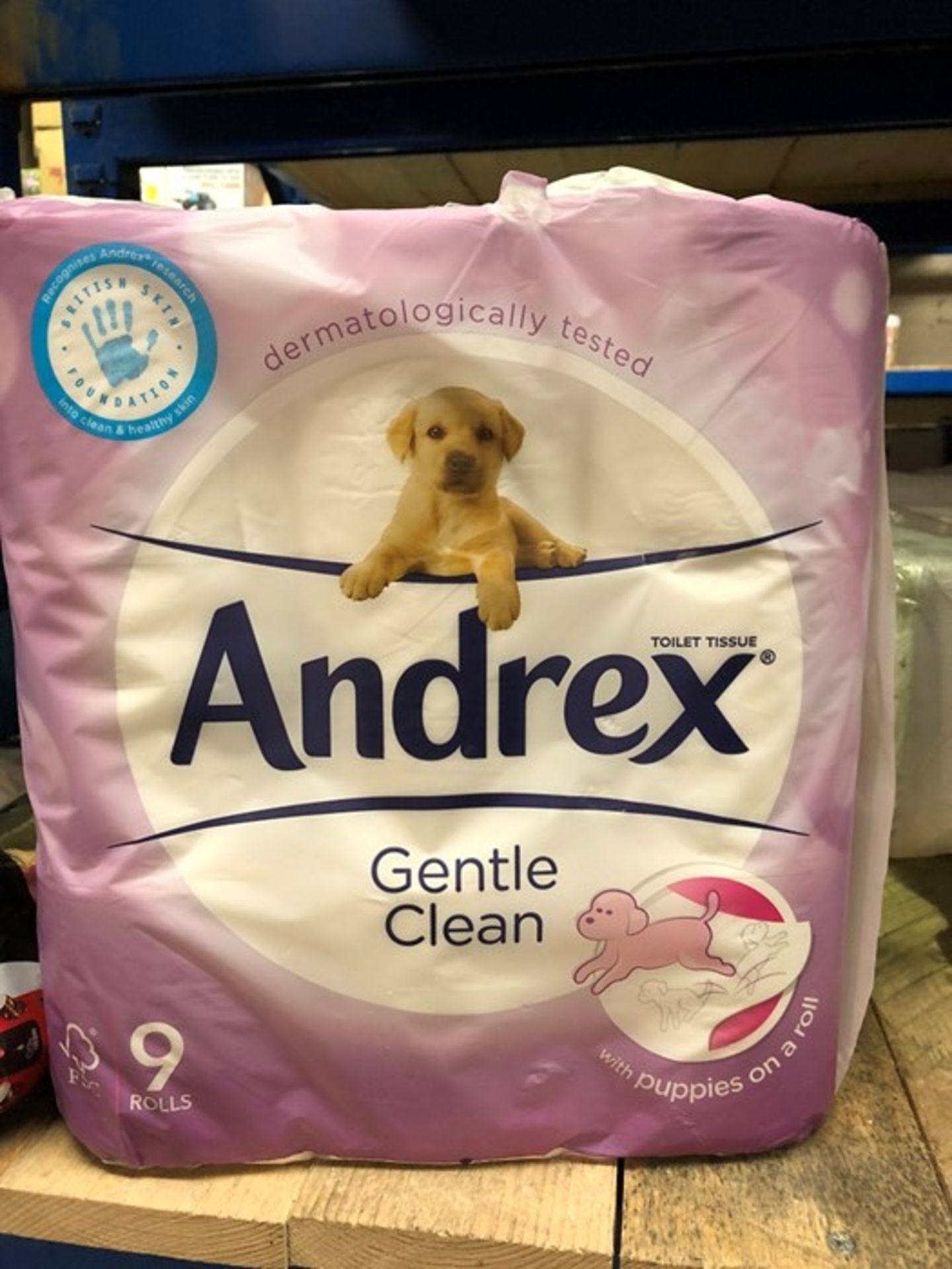 1 BAGGED ANDREX GENTLE CLEAN ROLLS OF TOILET PAPER (PUBLIC VIEWING AVAILABLE)