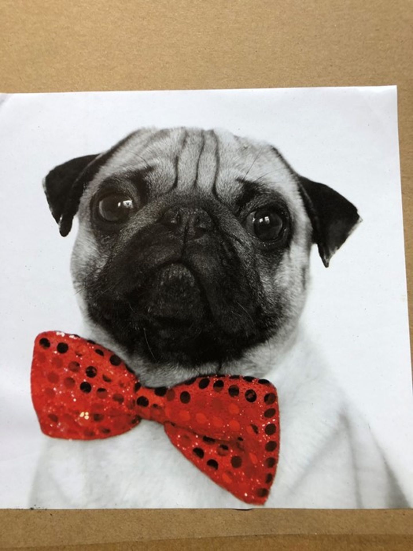 1 LOT TO CONTAIN 24 BOXED AS NEW ARTHOUSE PUG CANVASES - 004014 (SOLD AS SEEN)